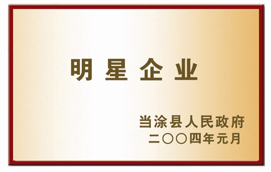 明星企業(yè)